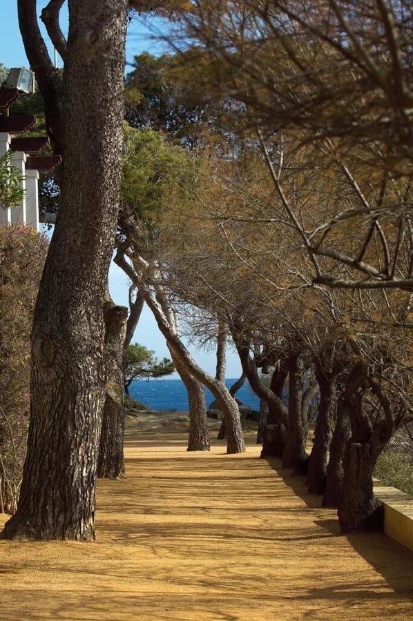 Platja D'Aro Center Apartments Экстерьер фото